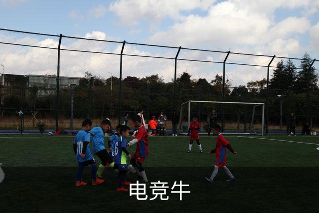 电竞牛公司环境与团队协作